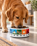 Golden retriever eating from the Bornholm Icons stainless steel pet bowl